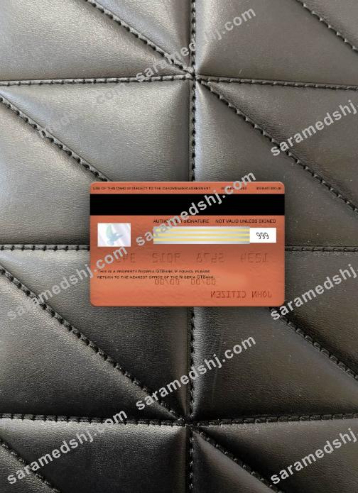 Nigeria GTBank visa classic card photolook back